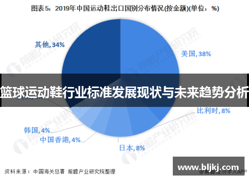 篮球运动鞋行业标准发展现状与未来趋势分析